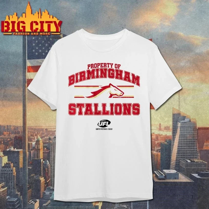 Property of Birmingham Stallions shirt Unisex T-shirt, Sweatshirt, Hoodie, Long Sleeve Tee - T-Shirt, Sweatshirt, Hoodie