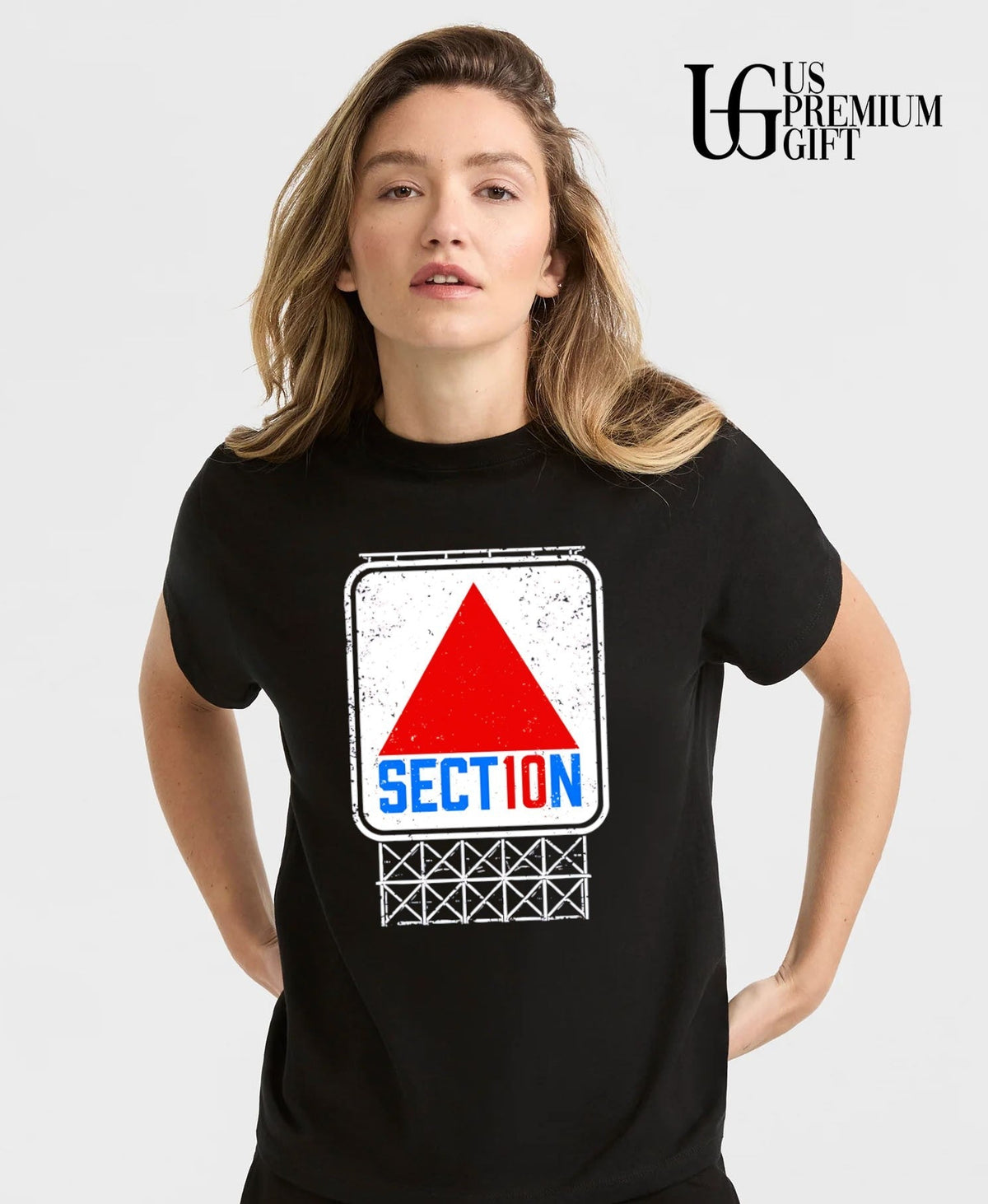 Section 10 Sign logo - Adult & Kids T-Shirts, Sweatshirts & Hoodies apparel design preview 3