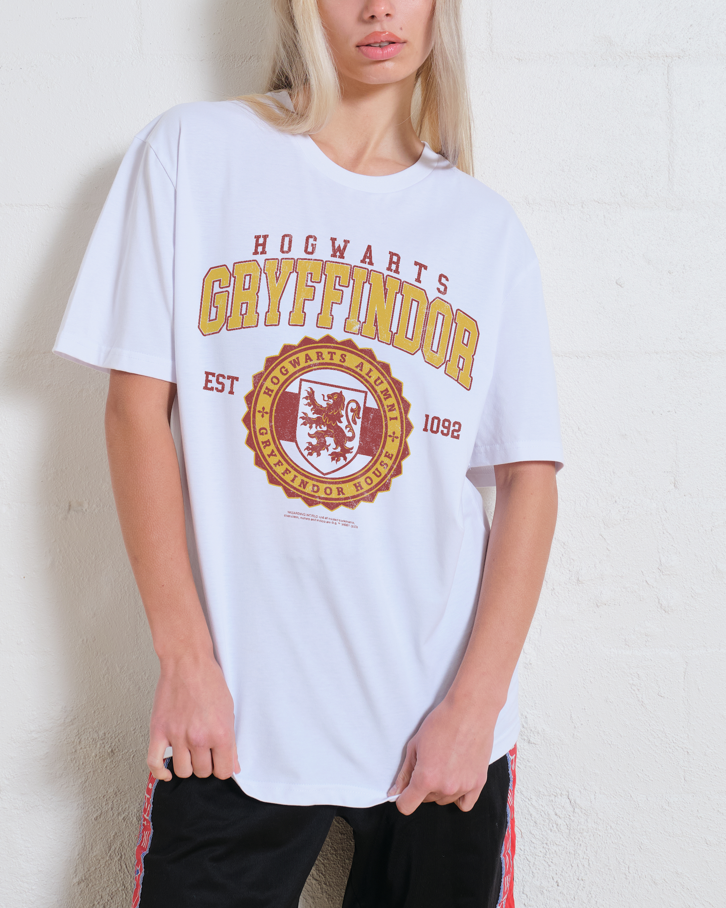 Gryffindor College T-Shirt Unisex T-shirt, Sweatshirt, Hoodie, Long Sleeve Tee - T-Shirt, Sweatshirt, Hoodie