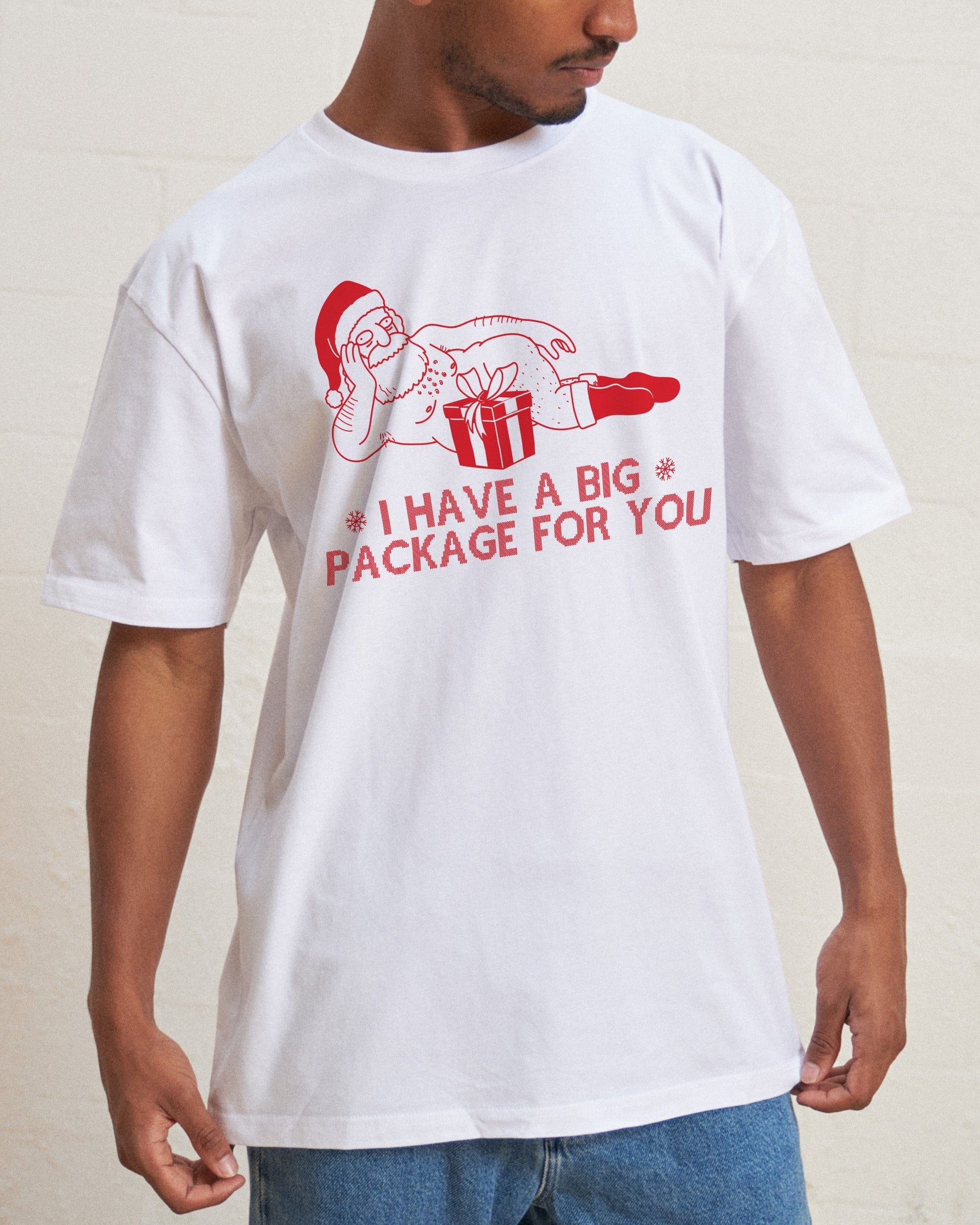 I Have a Big Package T-Shirt Unisex T-shirt, Sweatshirt, Hoodie, Long Sleeve Tee - T-Shirt, Sweatshirt, Hoodie