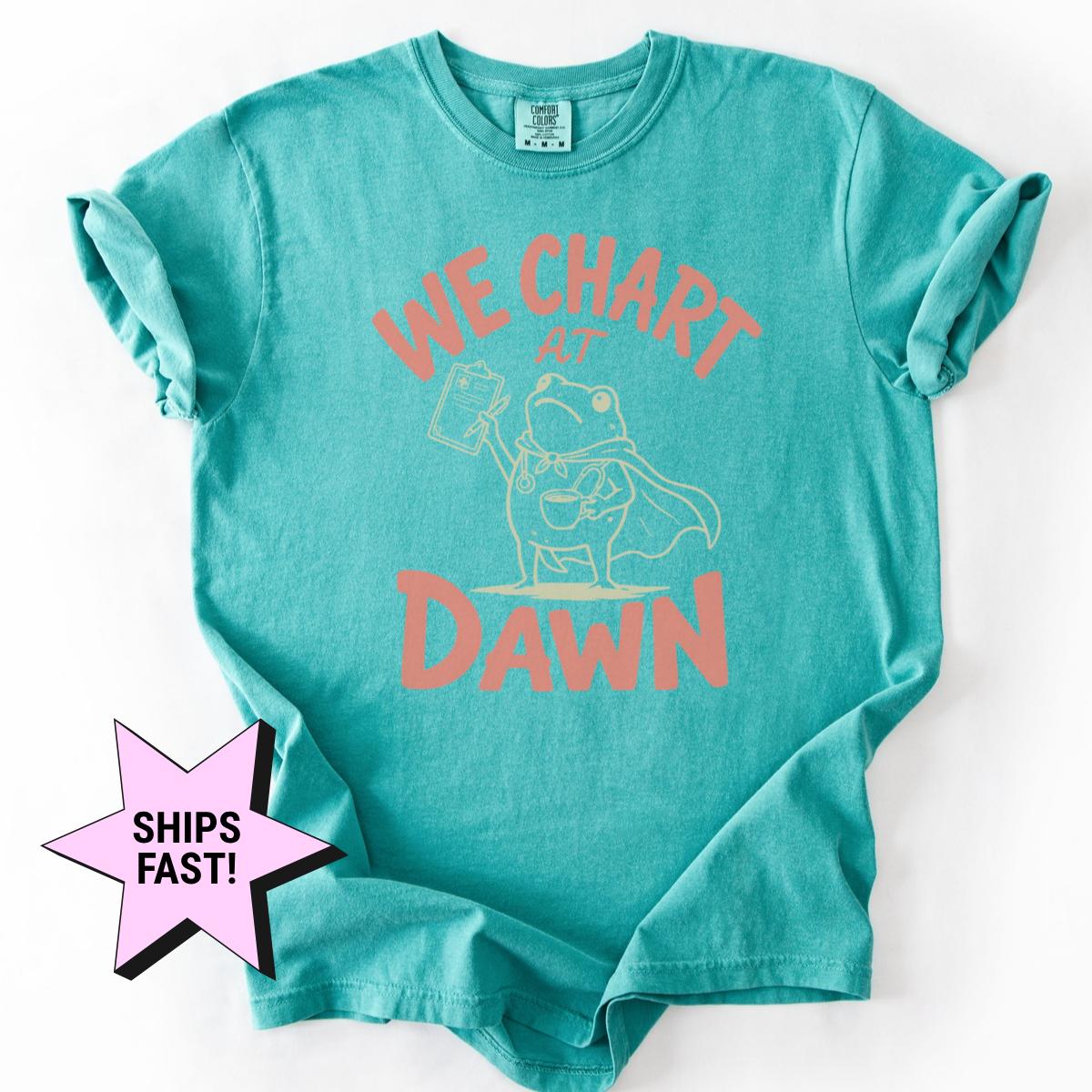 Chart Dawn Comfort Colors Nurse Nursing Frog Meme Rn - Adult & Kids T-Shirts, Sweatshirts & Hoodies apparel design preview 3