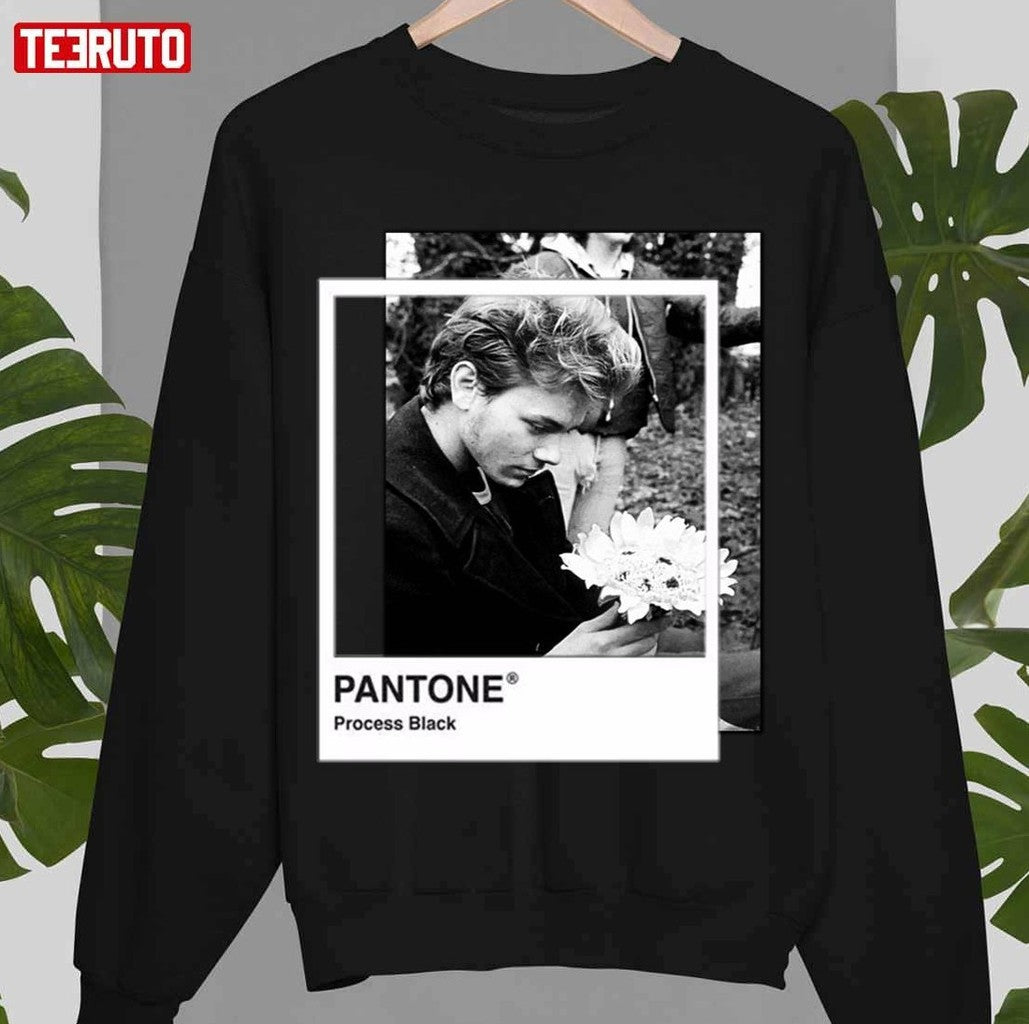 River Phoenix Pantone Unisex Sweatshirt - T-Shirt, Sweatshirt, Hoodie