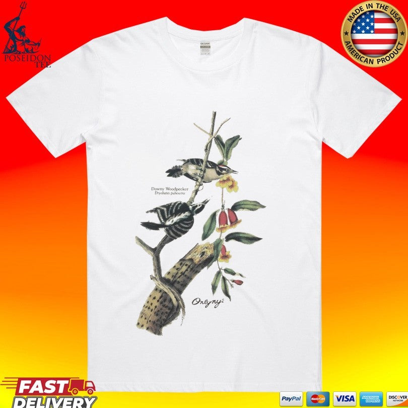 Only NY Woodpecker T-shirt Unisex T-shirt, Sweatshirt, Hoodie, Long Sleeve Tee - T-Shirt, Sweatshirt, Hoodie
