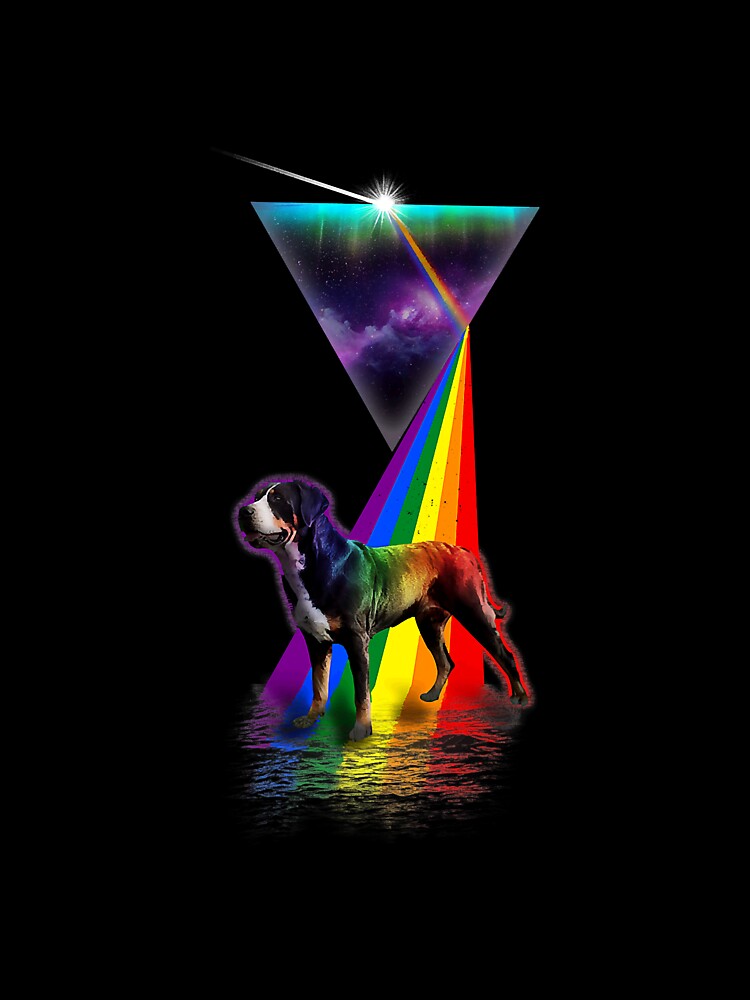 Vintage Retro Prism Greater Swiss by SkyCloudBlue - Adult & Kids T-Shirts, Sweatshirts & Hoodies apparel design preview 3