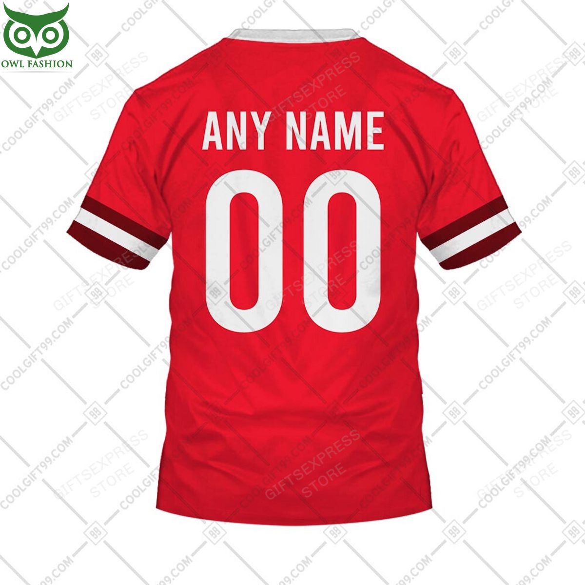 Rugby World Cup Wales Home Jersey Personalized 3D Hoodie Tshirt sports jersey product view 4