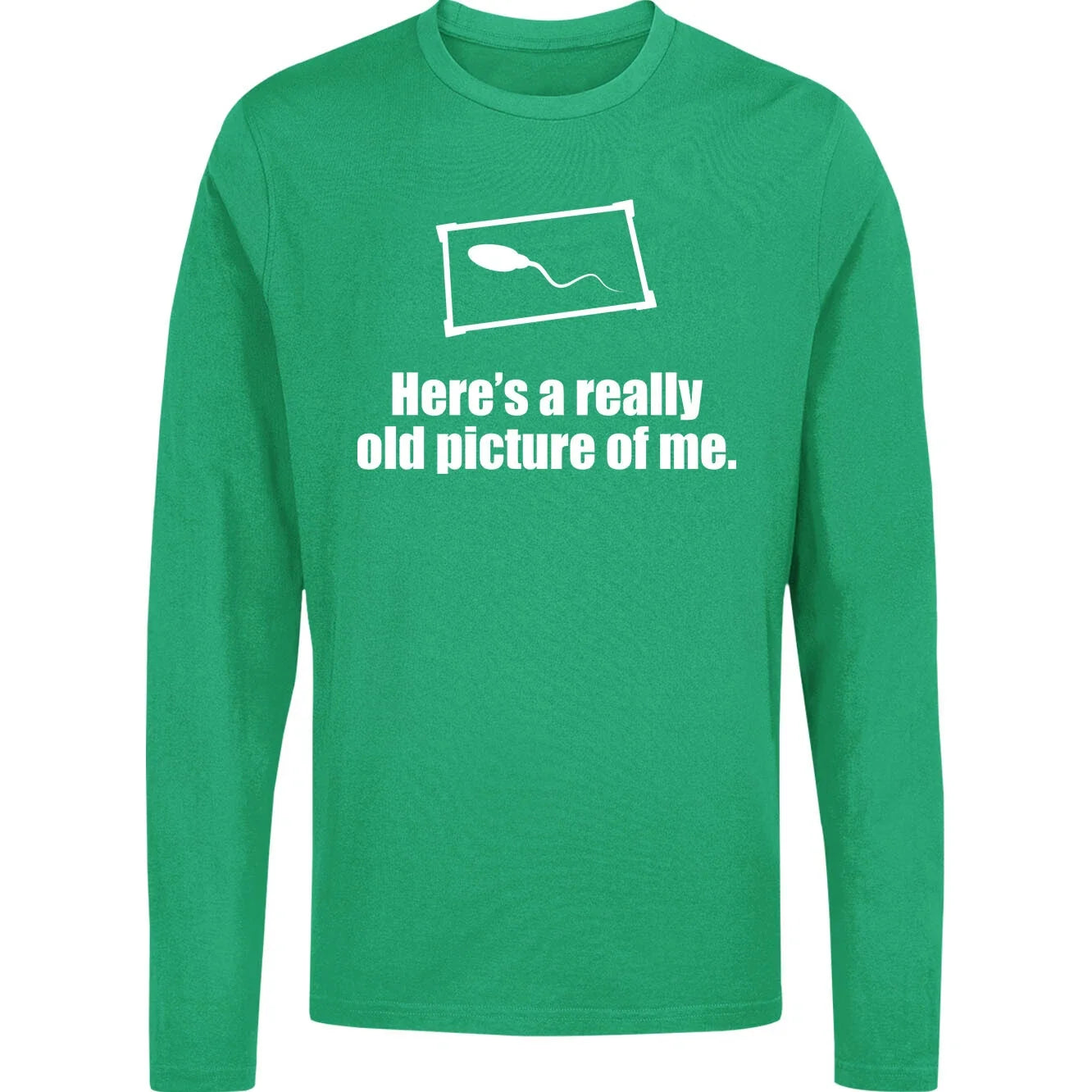 Here's a Really Old Picture of Me Long Sleeve T Shirt,Funny Sarcastic Gift Tee Unisex T-shirt, Sweatshirt, Hoodie, Long Sleeve Tee - T-Shirt, Sweatshirt, Hoodie