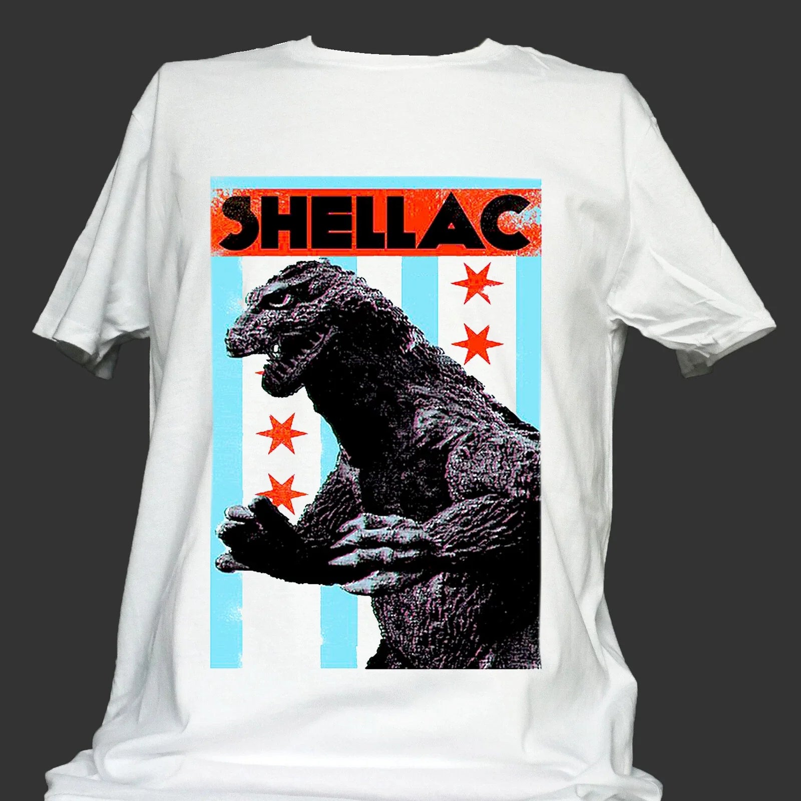 SHELLAC PUNK ROCK HARDCORE METAL T-SHIRT unisex S-3XL Unisex T-shirt, Sweatshirt, Hoodie, Long Sleeve Tee - T-Shirt, Sweatshirt, Hoodie
