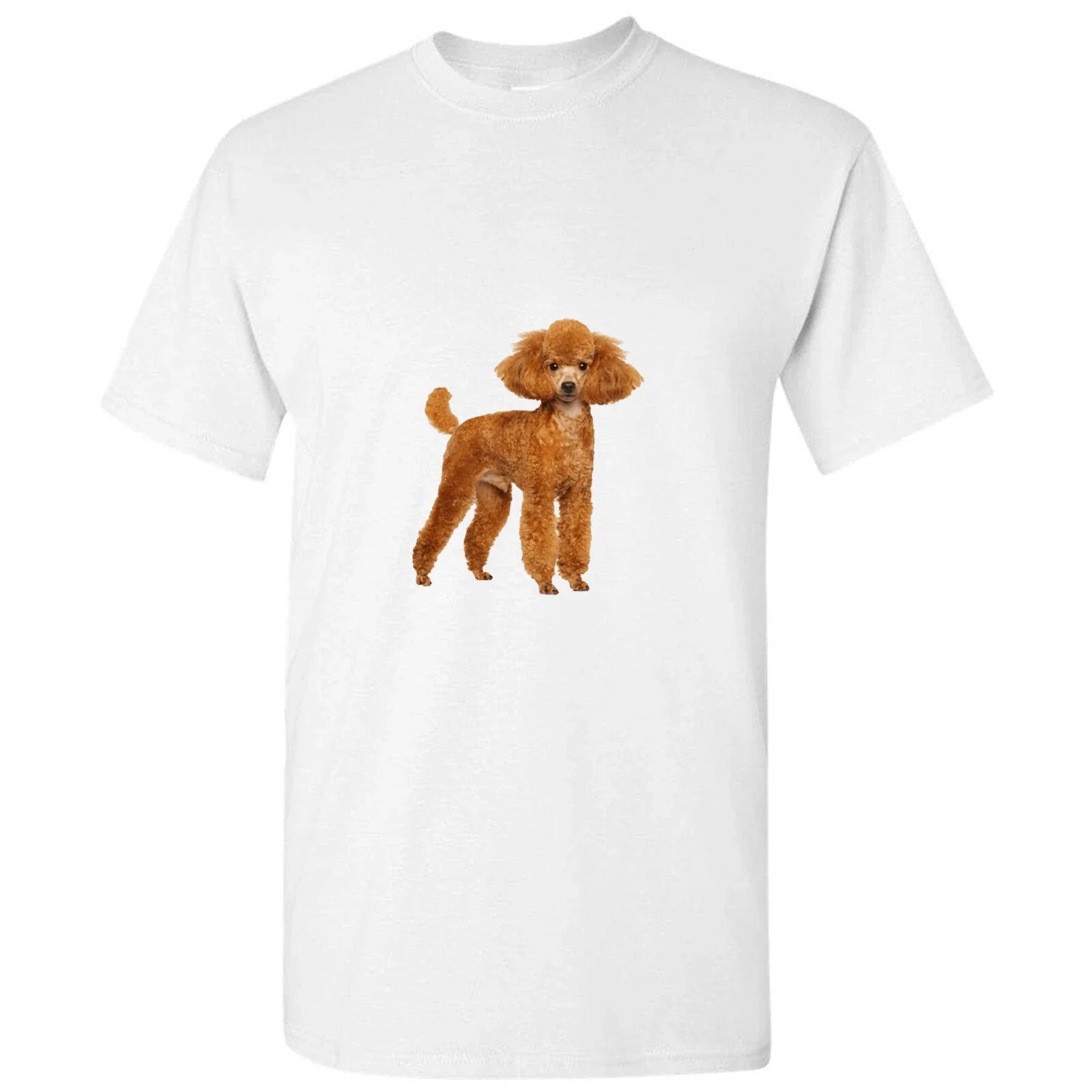 Brown Poodle Dog Cute Baby Puppy Pet White Men T Shirt Tee Top S - 5XL Unisex T-shirt, Sweatshirt, Hoodie, Long Sleeve Tee - T-Shirt, Sweatshirt, Hoodie