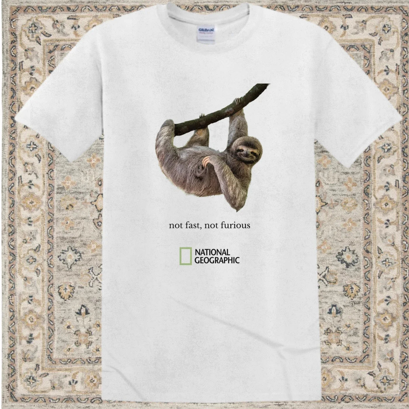 Vintage animal Nat Geo inspired 'not fast, not furious' Sloth Tee New, Gildan M Unisex T-shirt, Sweatshirt, Hoodie, Long Sleeve Tee - T-Shirt, Sweatshirt, Hoodie