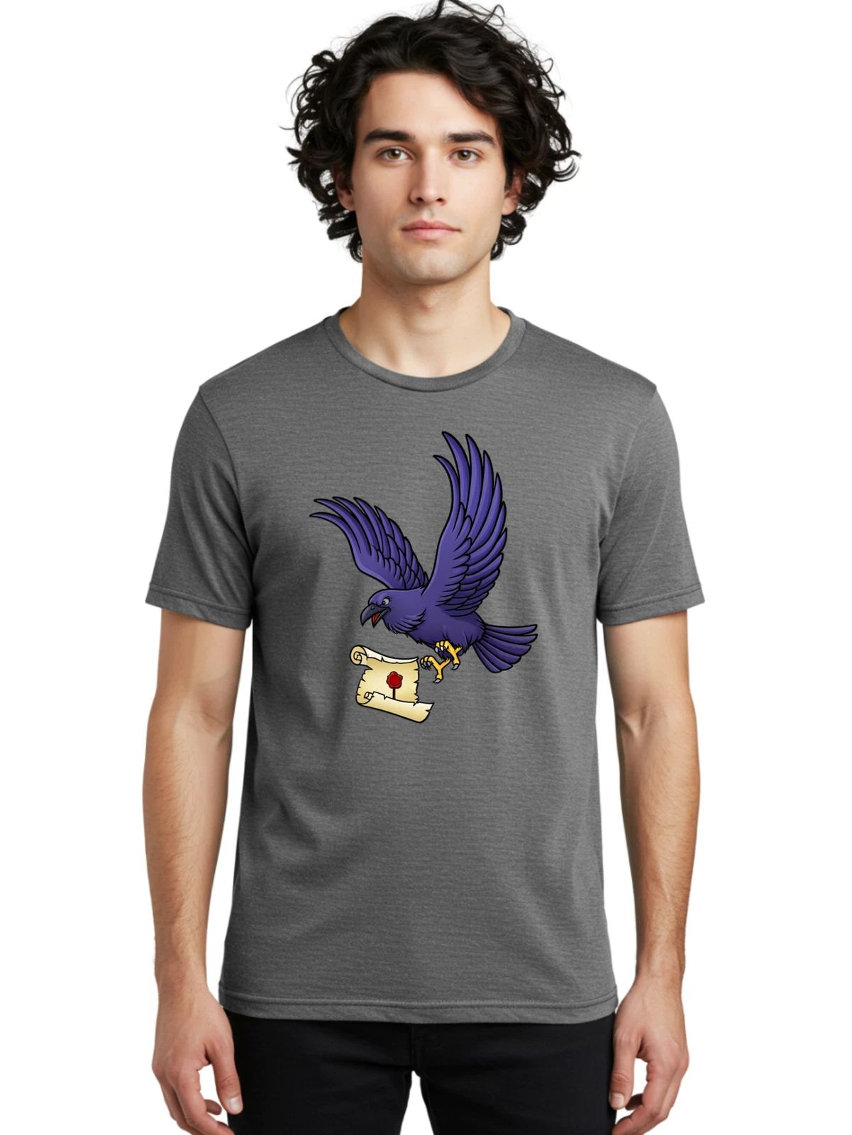Raven-Mail Mens Graphic Tee, 100% Cotton, Casual Summer Wear Unisex T-shirt, Sweatshirt, Hoodie, Long Sleeve Tee - T-Shirt, Sweatshirt, Hoodie