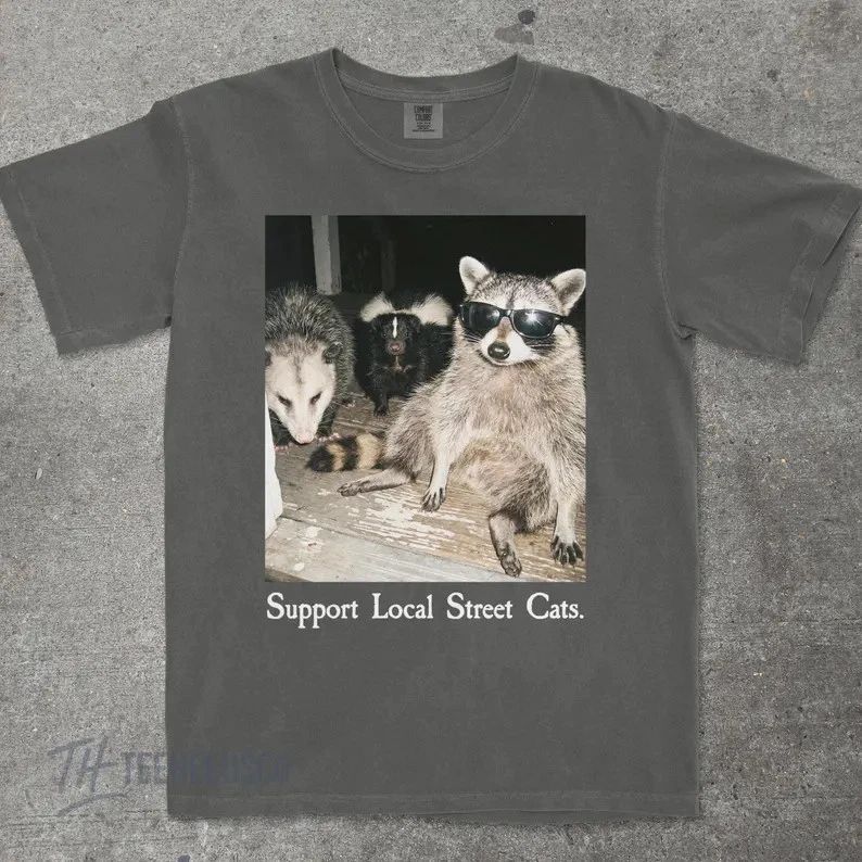 Support Local Street Cats Funny Comfort Tee Cat Lover Gift Men Women Unisex T-shirt, Sweatshirt, Hoodie, Long Sleeve Tee - T-Shirt, Sweatshirt, Hoodie