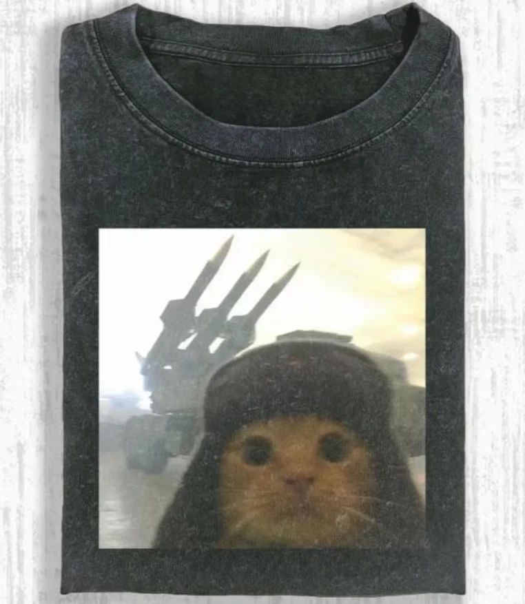 Vintage Wash Funny Army Cat Meme Shirt, Military Cat Aesthetic Tee, Gen Z Joke Unisex T-shirt, Sweatshirt, Hoodie, Long Sleeve Tee - T-Shirt, Sweatshirt, Hoodie
